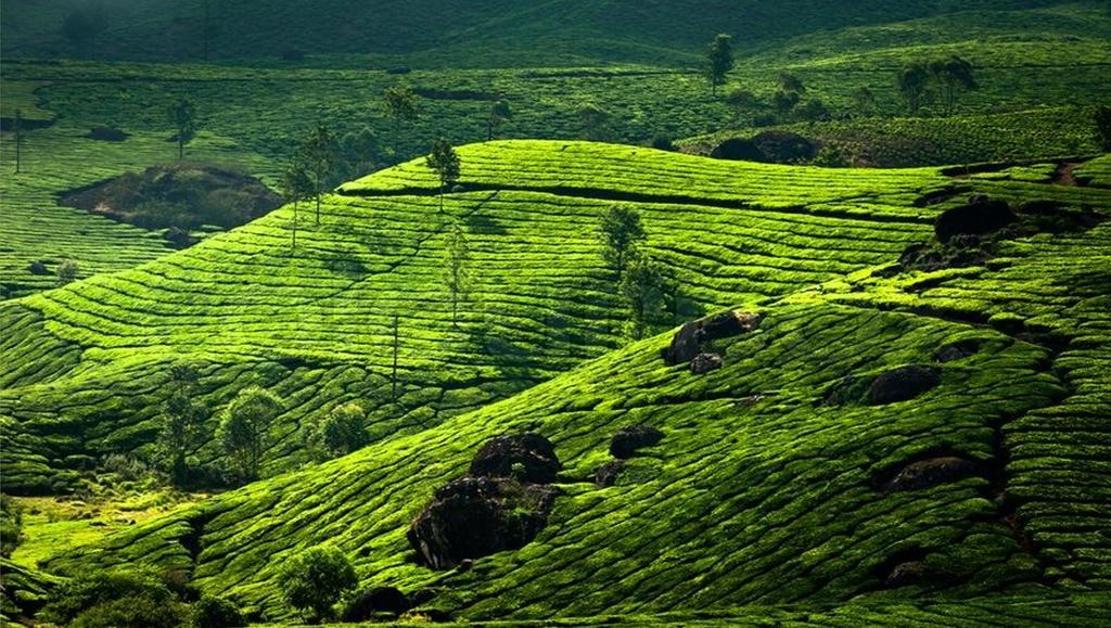 Clouds Valley Hotel Munnar Ngoại thất bức ảnh